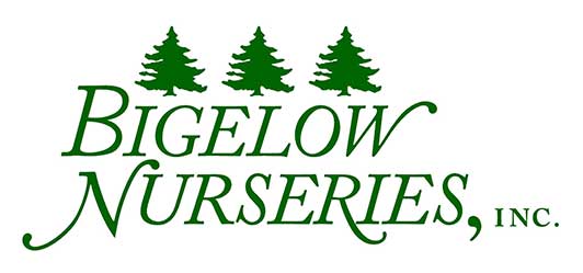 Bigelow Nurseries Inc logo